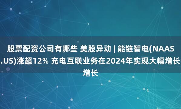 股票配资公司有哪些 美股异动 | 能链智电(NAAS.US)涨超12% 充电互联业务在2024年实现大幅增长