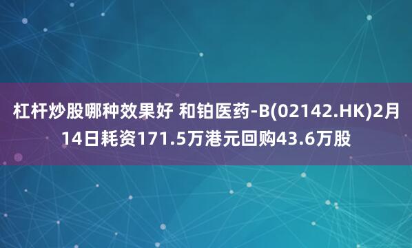 杠杆炒股哪种效果好 和铂医药-B(02142.HK)2月14日耗资171.5万港元回购43.6万股