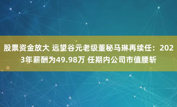 股票资金放大 远望谷元老级董秘马琳再续任：2023年薪酬为49.98万 任期内公司市值腰斩