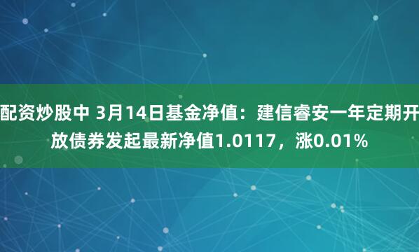 配资炒股中 3月14日基金净值：建信睿安一年定期开放债券发起最新净值1.0117，涨0.01%